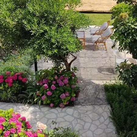 Lägenhet Alcyon Days