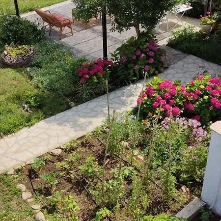 Alcyon Days Apartment Agios Georgios (Corfu)