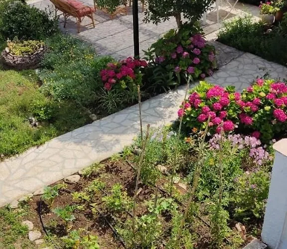 Alcyon Days 公寓 圣乔治斯